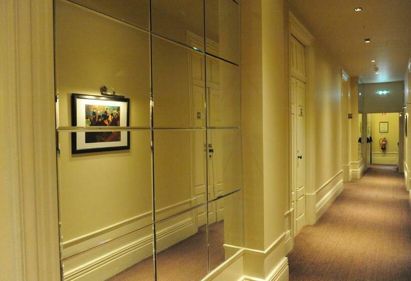 اتاق استاندارد, Aliados