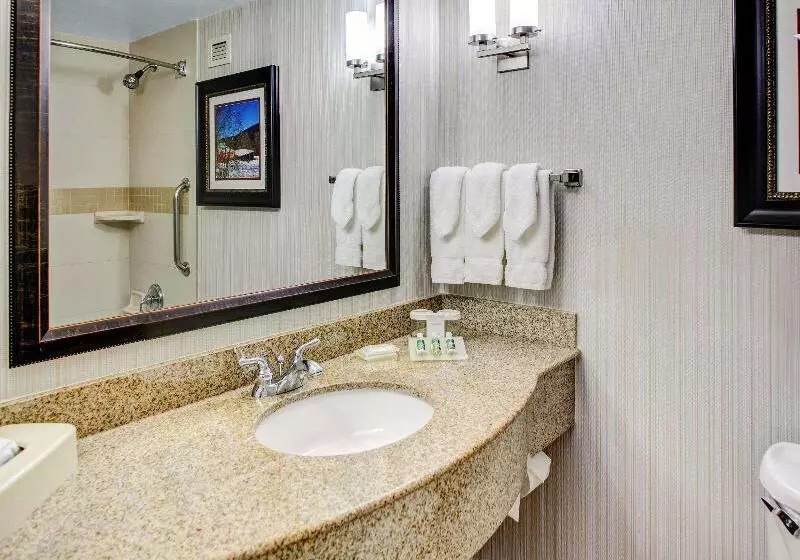 身障者適用スタンダードルーム, Americinn By Wyndham Ankeny/des Moines