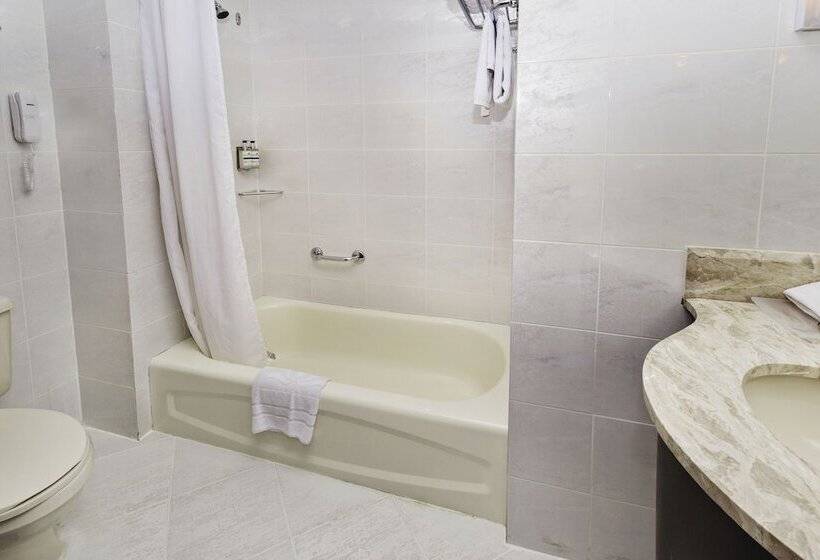 חדר אקזקיוטיב, City Garden Hotel Makati