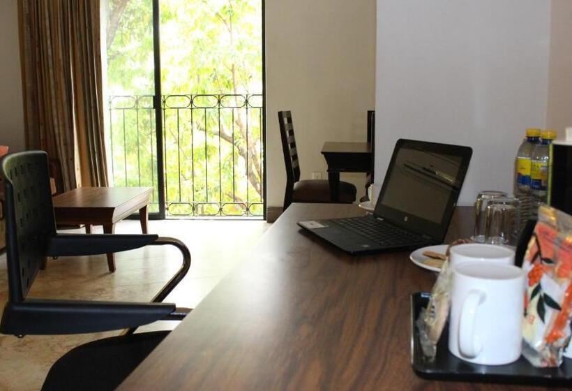 带大床的套房, Palmareca Inn Suites Studio