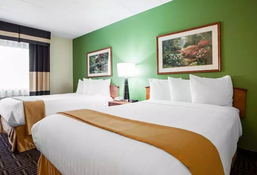 Standard-huone 2 Parivuodetta, Quality Inn Bolingbrook I 55