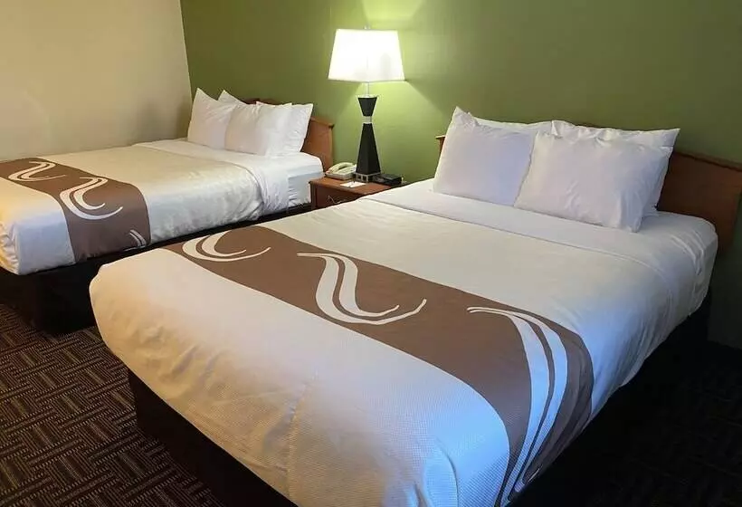 Standard-huone 2 Parivuodetta, Quality Inn Bolingbrook I 55