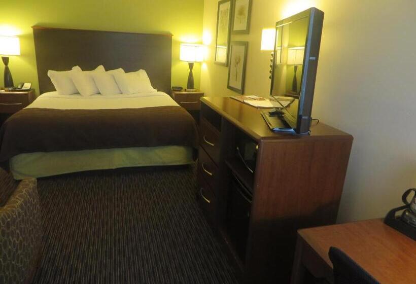 إستوديو قياسى سرير كينج, Americinn By Wyndham Rice Lake