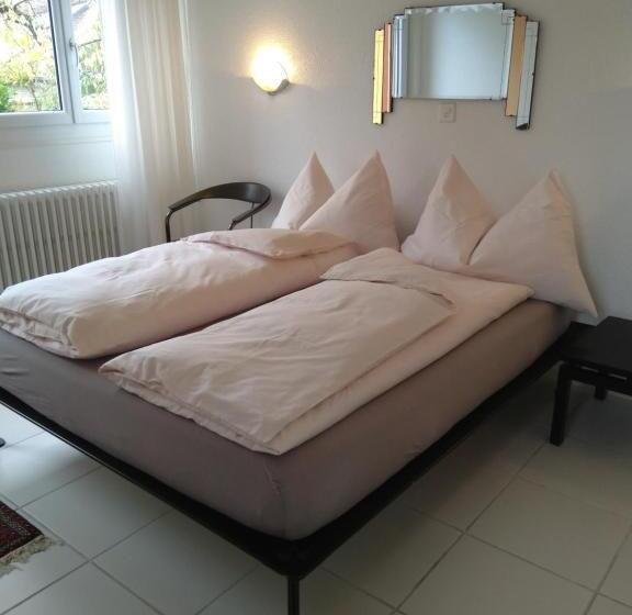 Standardzimmer mit Seeblick, Swiss Borzoi House