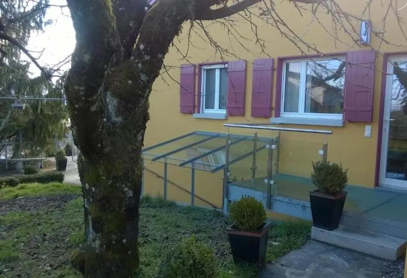 レイクビュースタンダードルーム, Swiss Borzoi House