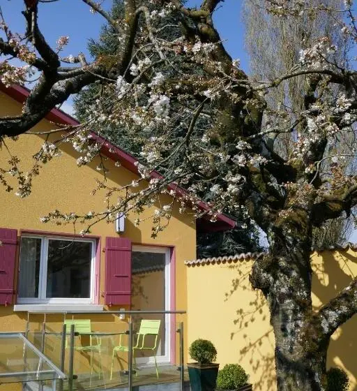 レイクビュースタンダードルーム, Swiss Borzoi House