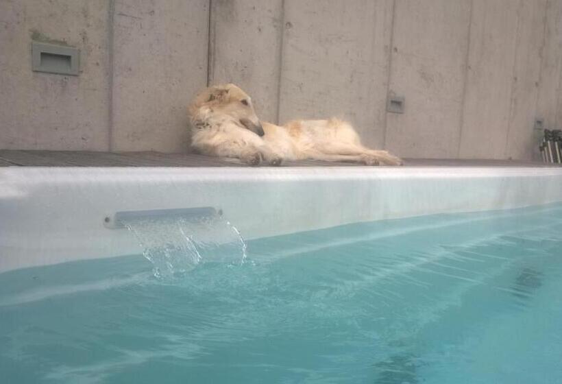 Standardzimmer mit Seeblick, Swiss Borzoi House