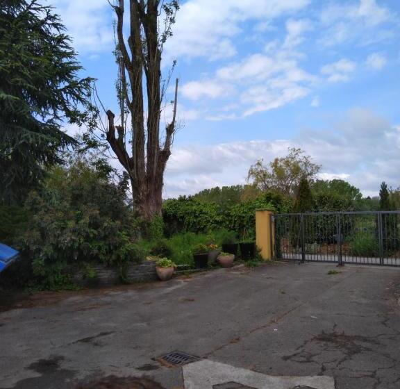 Standardzimmer mit Seeblick, Swiss Borzoi House