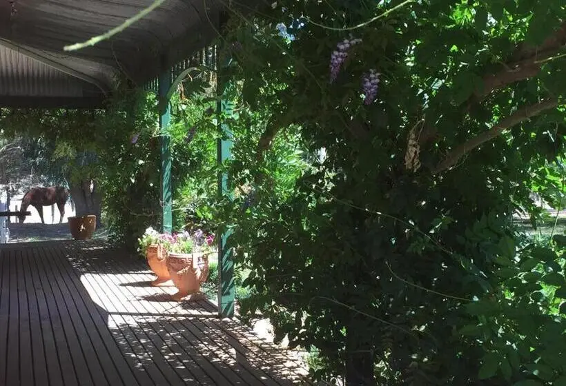 スタンダードスタジオ, Birchwood Cottage