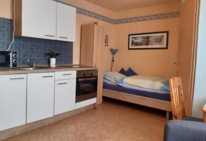 Номер Стандарт, Willekes Blütenhof