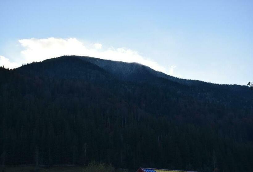 스탠다드 룸, Casa Viv