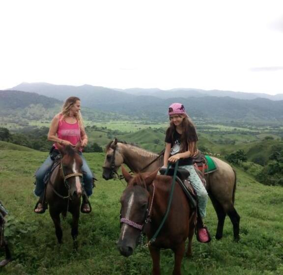 Номер Стандарт, Hostel Wunderbar