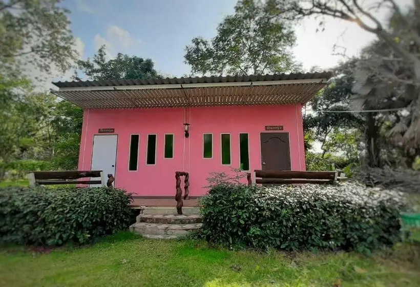 エコノミールーム, Sawan Srang Nang Kaew
