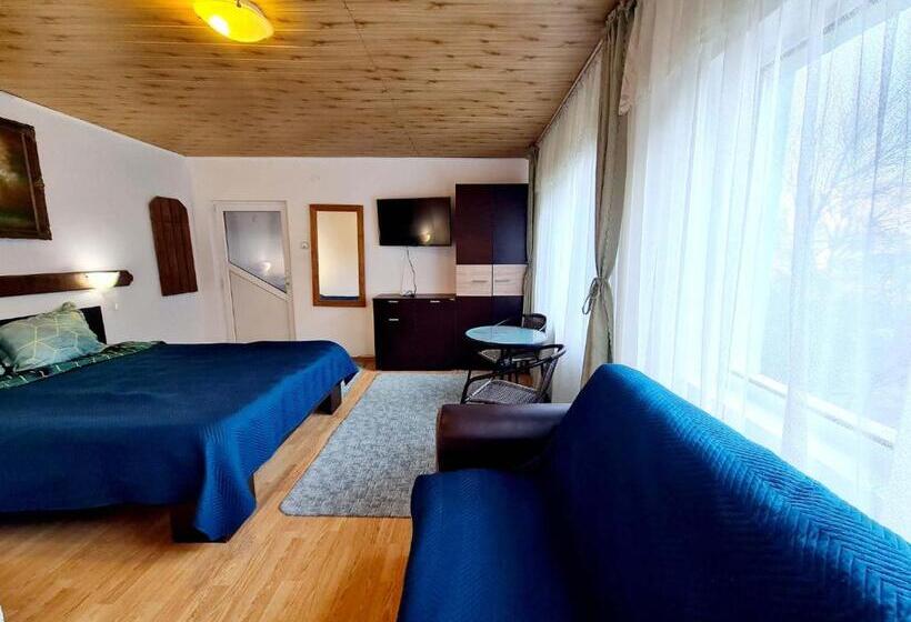 غرفة قياسية, Vila Giulia Voineasa