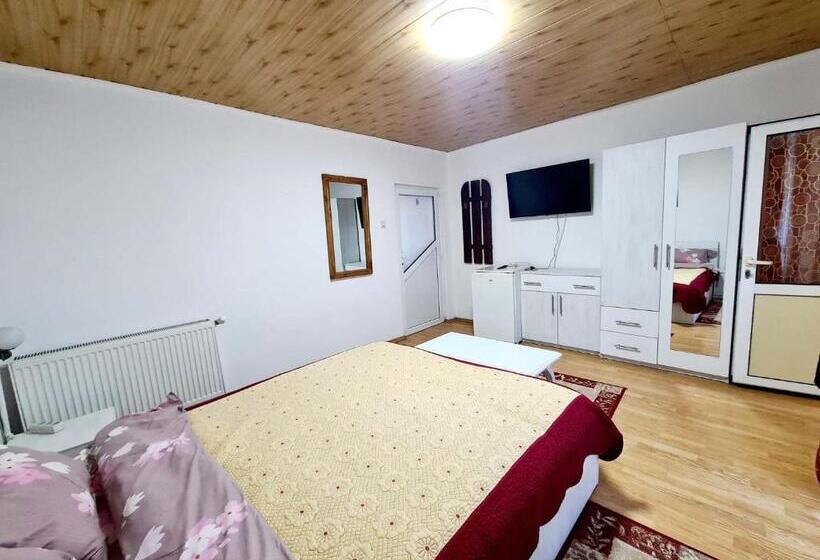 غرفة قياسية, Vila Giulia Voineasa