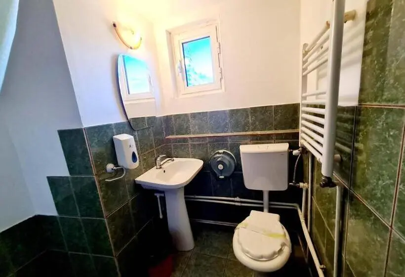 اتاق استاندارد سه نفره, Vila Giulia Voineasa