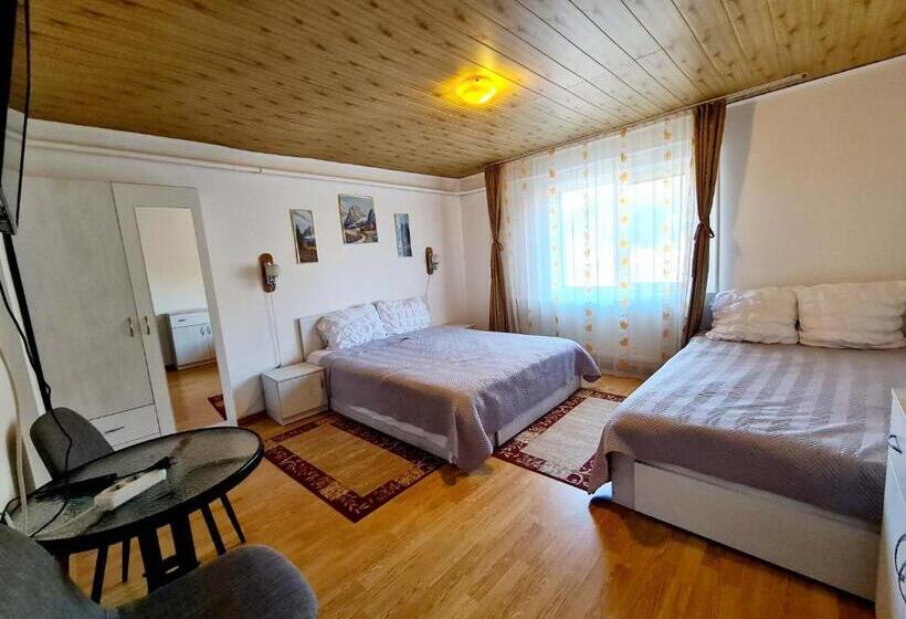 اتاق استاندارد سه نفره, Vila Giulia Voineasa
