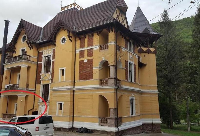 ファミリージュニアスイート, Pensiunea Mayumi Moneasa