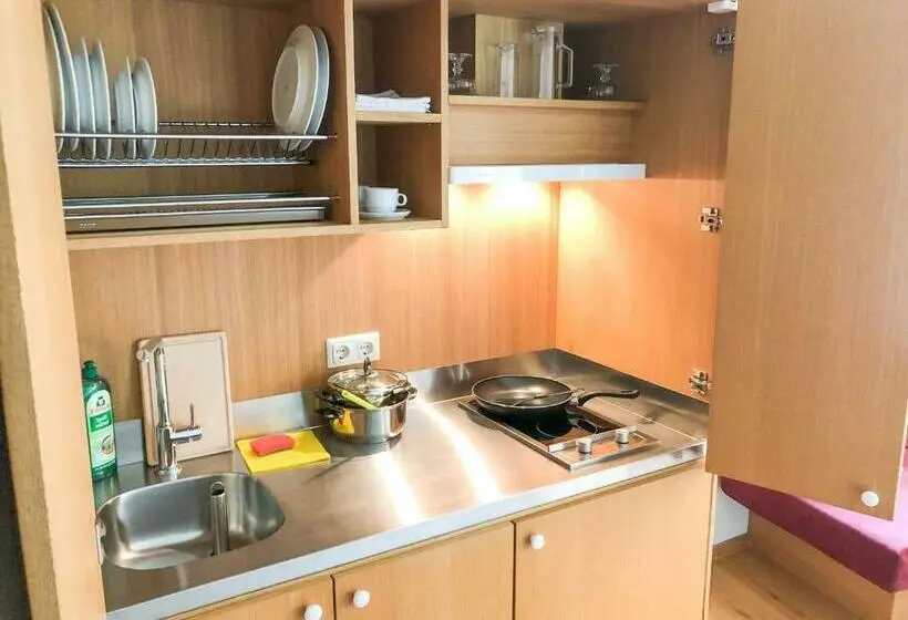 1 Bedroom Apartment with Balcony, Die Schmiede