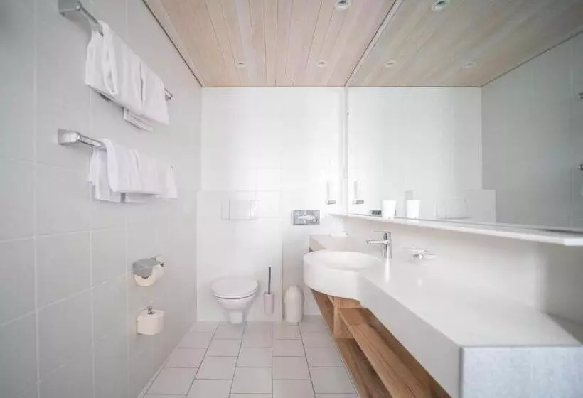 اتاق استاندارد یک نفره, Altstadt Hotel Stadtkrug