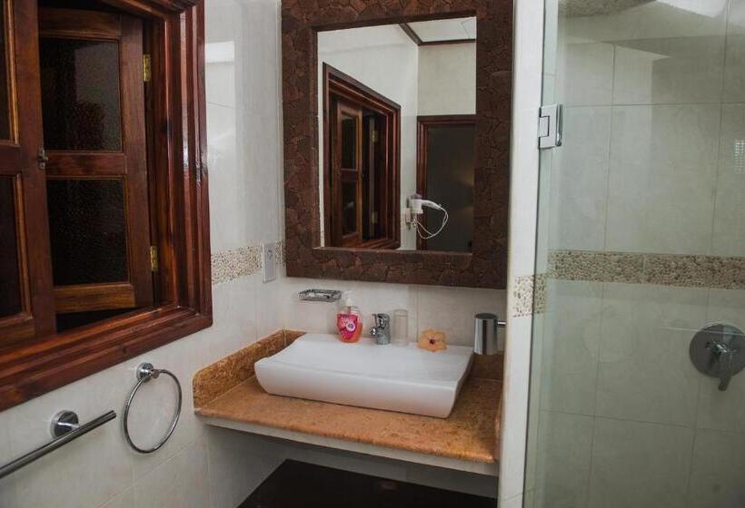 اتاق استاندارد, Chateau St Cloud