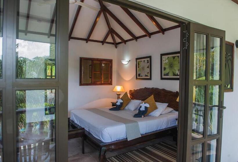 اتاق سوپریور, Chateau St Cloud