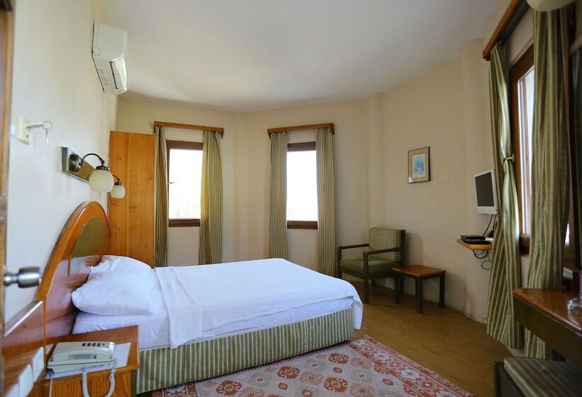 اتاق استاندارد, Eden