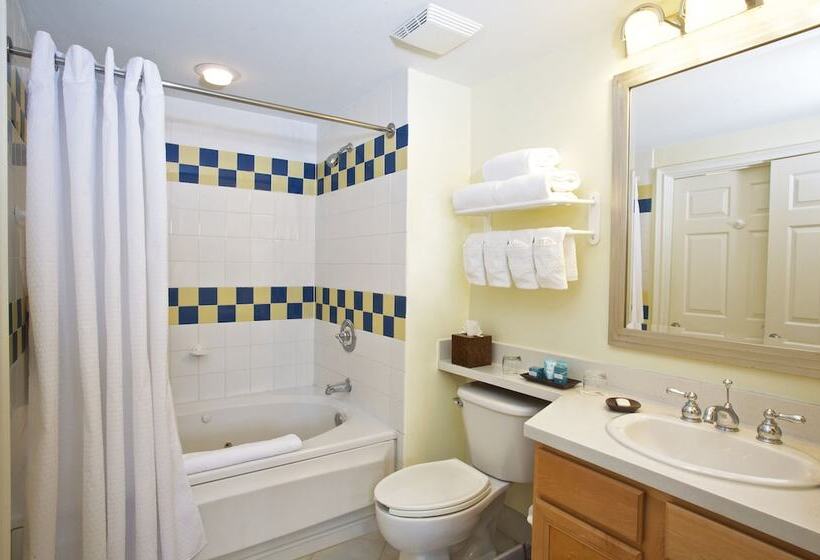 ویلای لوکس 1 خوابه, Harborside Resort & Vacation Rentals At Atlantis