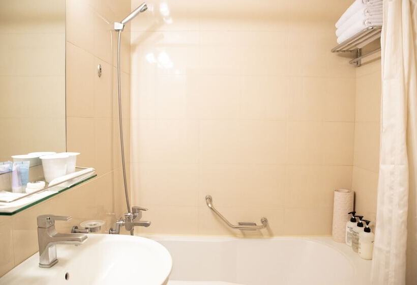 اتاق استاندارد, New Seoul Hotel Myeongdong