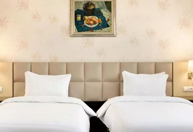 身障者適用スタンダードルーム, Wyndham Tashkent