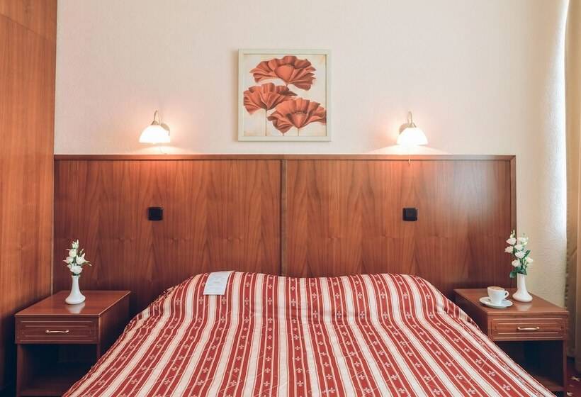 اتاق استاندارد, Premier Hotel Rus
