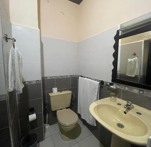 חדר אקונומי, Riad Al Madina