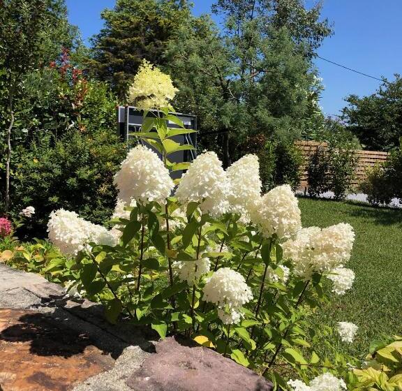 اتاق استاندارد, La Ferme D'ika