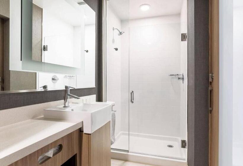带大床的套房, Springhill Suites By Marriott Truckee