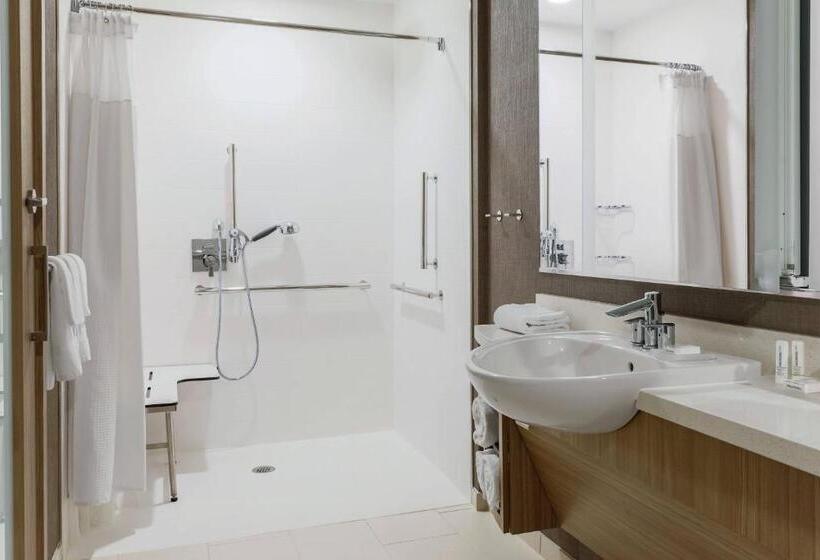 适合残疾人士使用的套间, Springhill Suites By Marriott Truckee