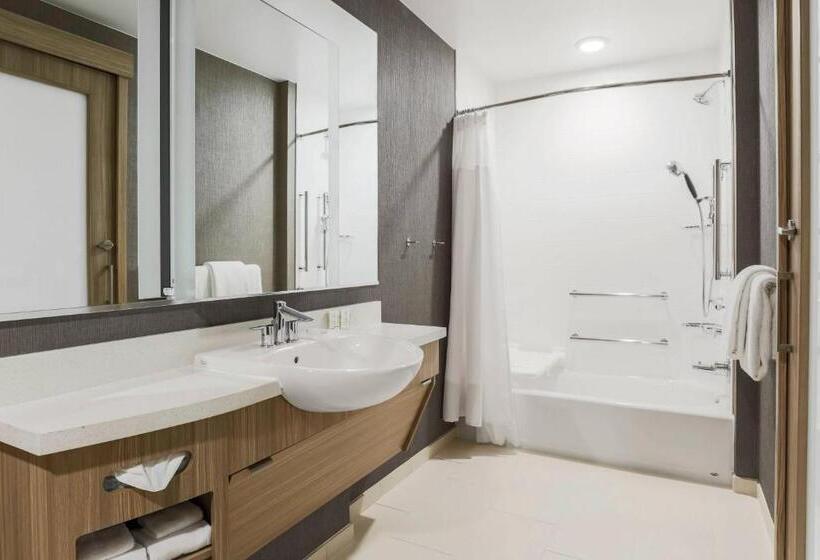 身障者適用スイートルーム, Springhill Suites By Marriott Truckee