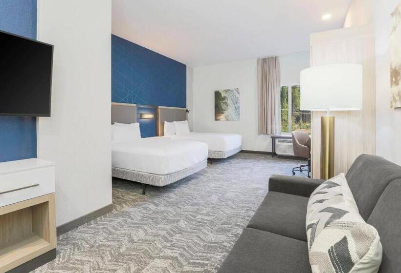 身障者適用スイートルーム, Springhill Suites By Marriott Truckee