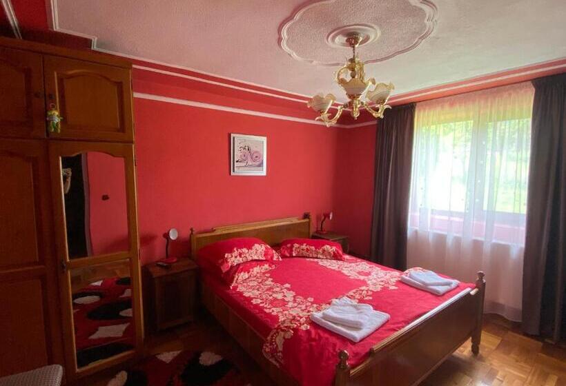 スタンダードルーム, Pensiunea Angelica