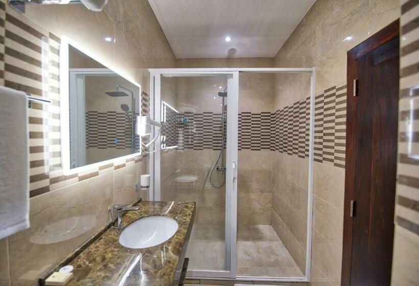 シングルデラックスルーム, Viveka Hotel Colombo