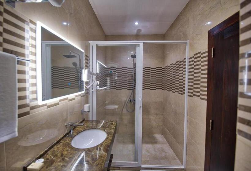 غرفة ديلوكس, Viveka Hotel Colombo