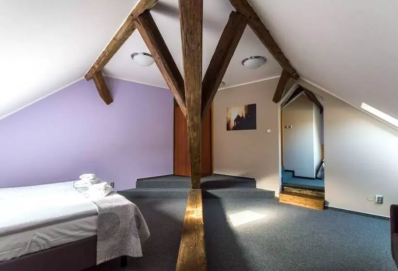 スタンダード４人部屋, Adler   Czech Leading Hotels