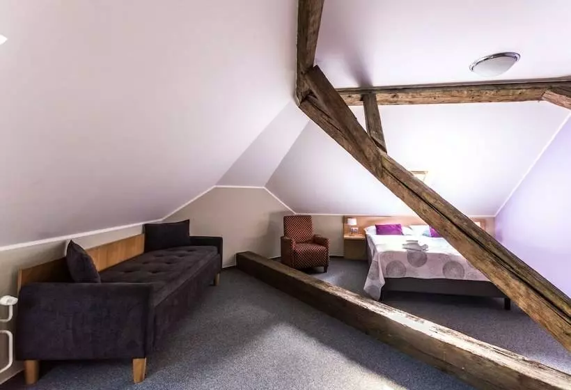 スタンダード４人部屋, Adler   Czech Leading Hotels