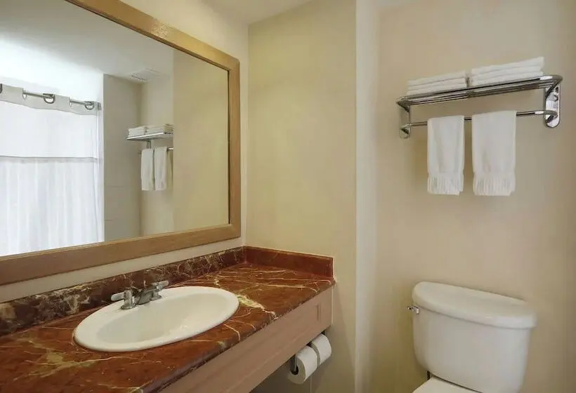 اتاق استاندارد با 2 تخت دوبل, Four Points By Sheraton Santo Domingo