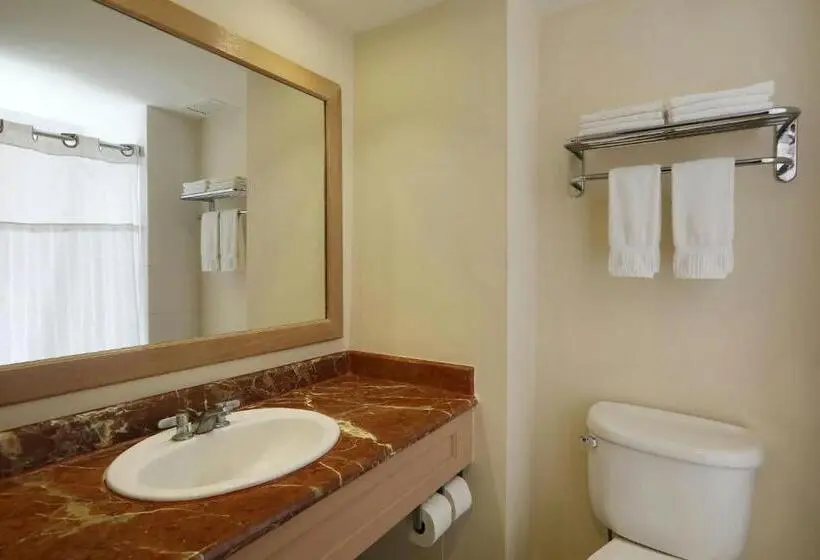 اتاق استاندارد با تخت بزرگ, Four Points By Sheraton Santo Domingo