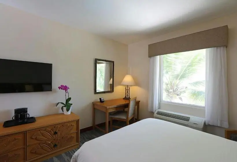 اتاق استاندارد با تخت بزرگ, Four Points By Sheraton Santo Domingo