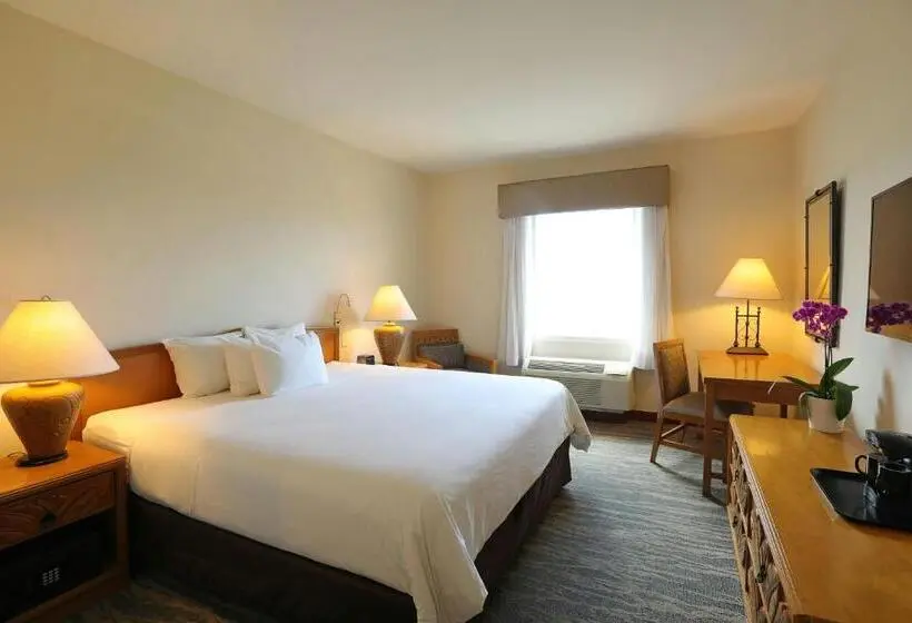 اتاق استاندارد با تخت بزرگ, Four Points By Sheraton Santo Domingo