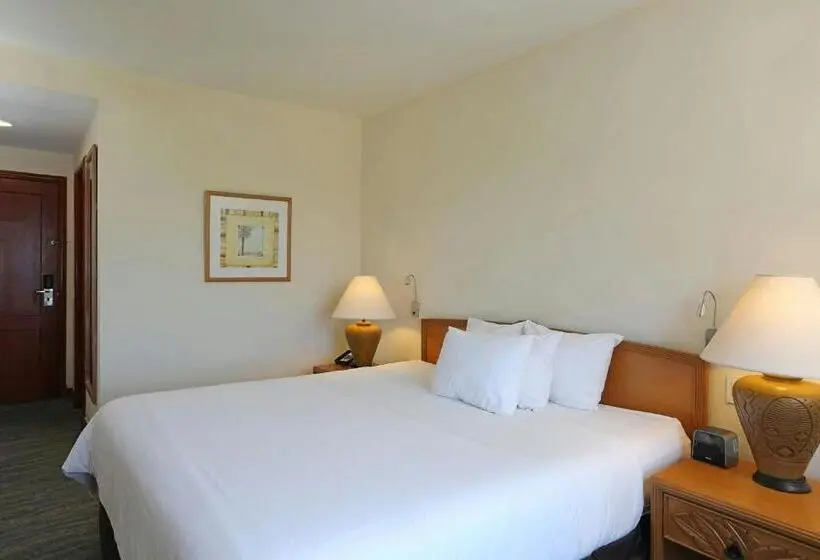 اتاق استاندارد با تخت بزرگ, Four Points By Sheraton Santo Domingo