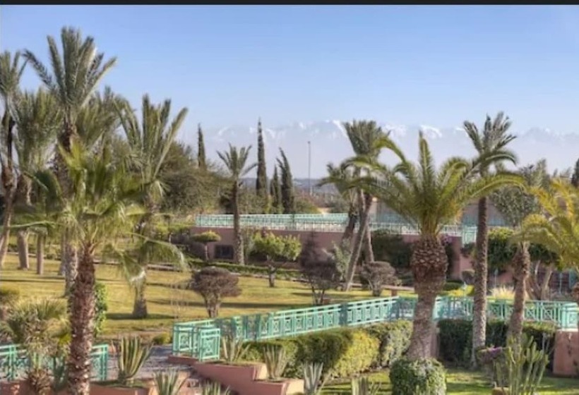 اتاق استاندارد, Pickalbatros SUNGO Club