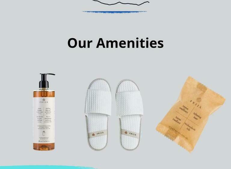 غرفة أساسية, Alpina Boutique Hotel Ringgenberg   Adults Only !