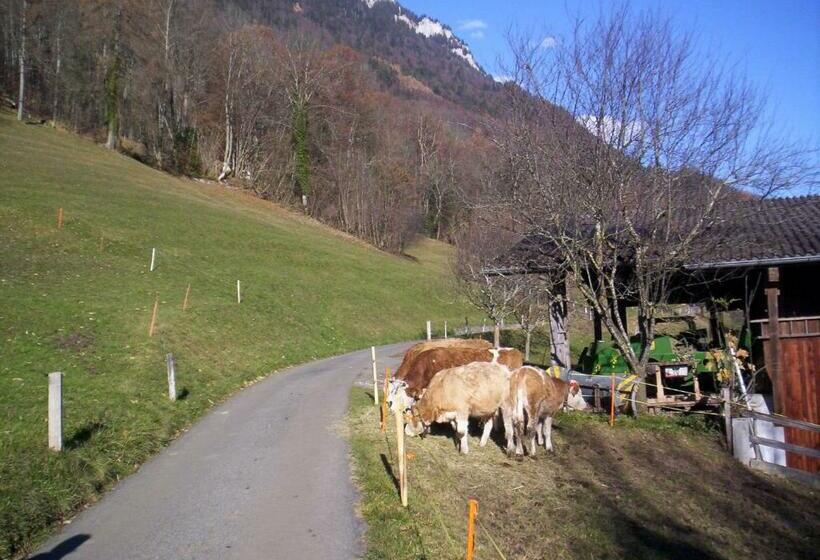 غرفة أساسية, Alpina Boutique Hotel Ringgenberg   Adults Only !